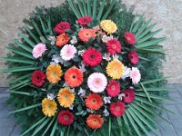 2013-11-18 08.30.12  IICSAUser comments